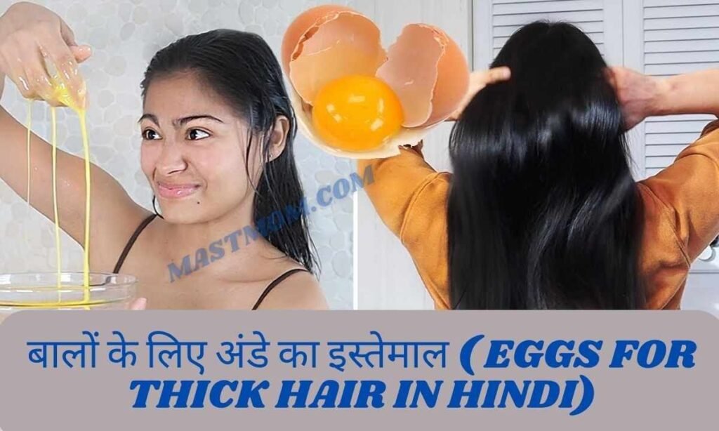 बालों के लिए अंडे का इस्तेमाल ( Eggs For Thick Hair In Hindi)