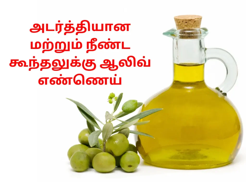 olive oil for hair, அடர்த்தியான மற்றும் நீண்ட கூந்தலுக்கு வீட்டு வைத்தியம்