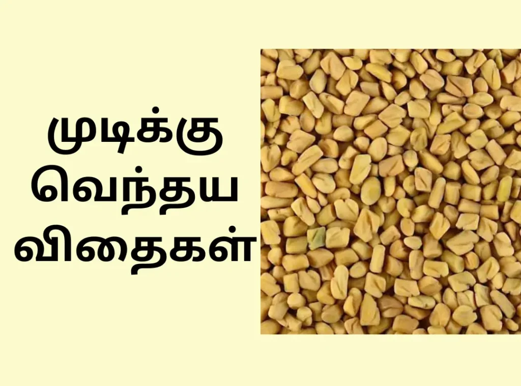 முடிக்கு வெந்தய விதைகள்