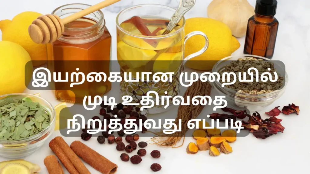 இயற்கையான முறையில் முடி உதிர்வதை நிறுத்துவது எப்படி